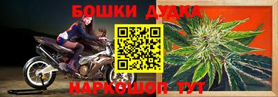 амф Будённовск