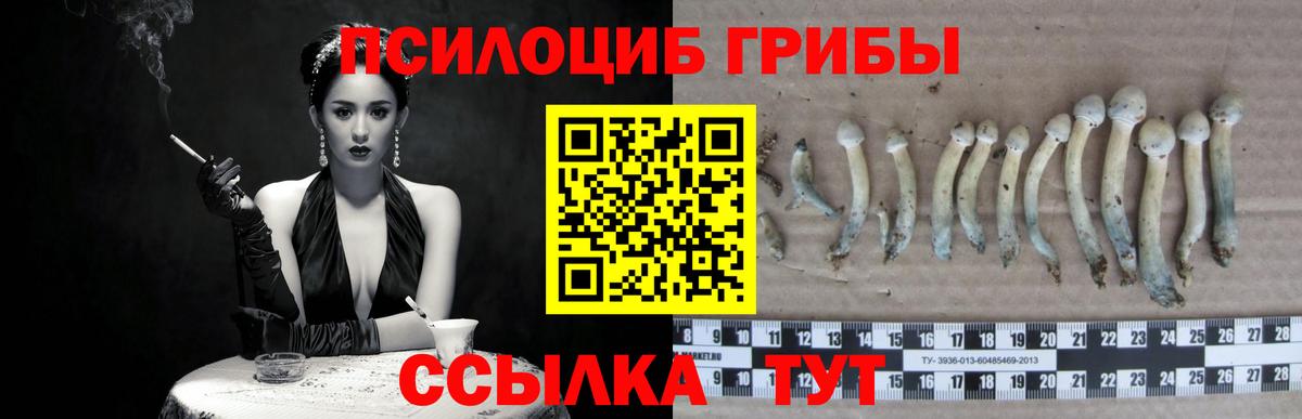 Галлюциногенные грибы GOLDEN TEACHER  Вход с VPN  Ялуторовск 